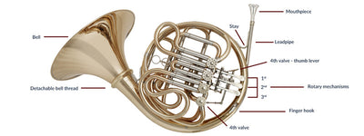 Buyers Guide for French Horns