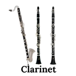 Image of the John Packer JP121 Bb Clarinet.