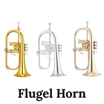 Image of the John Packer JP175 Flugel Horn.