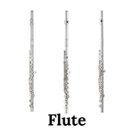 Image of the John Packer JP111 flute.