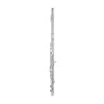 Image of the John Packer JP111 flute.