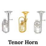 Image of the John Packer JP372 Tenor Horn.
