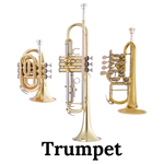 Image of the John Packer 'JP by Taylor' Bb trumpet.