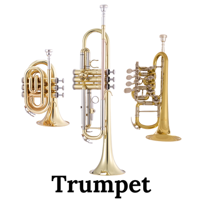 Greg Black Bass Trombone Mouthpiece Large Shank – John Packer Greg Black Bass Trombone Mouthpiece Large Shank – John Packer