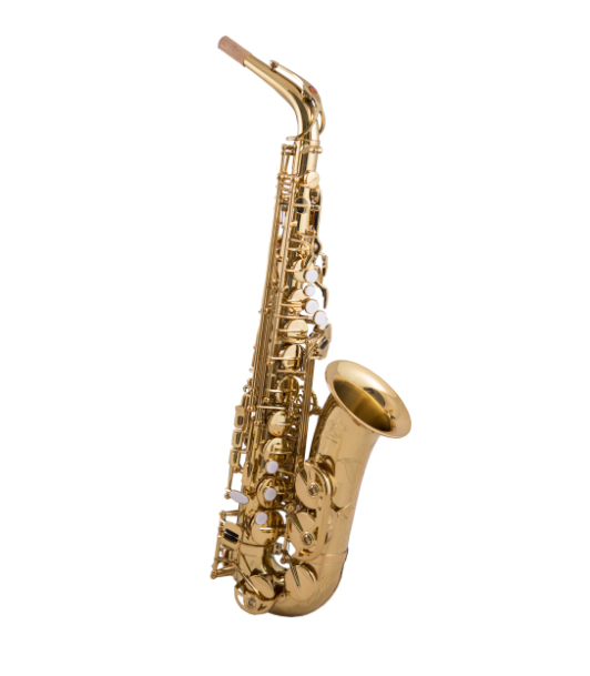 Trevor James EVO Eb Alto Saxophone