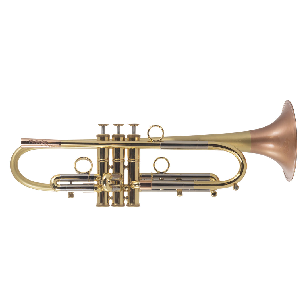 Taylor ‘VOCA Bell’ B♭トランペット taylor-piranha-bb-trumpet-clear-lacquer-brushed-bell – John Packer