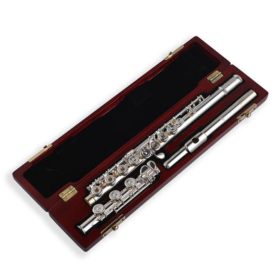 Di Zhao DZ 801BEF Flute