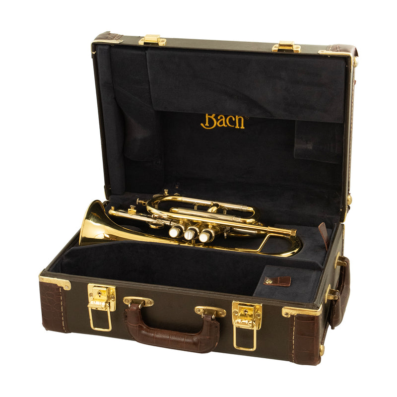Pre-owned Bach Stradivarius 184ML Bb Cornet
