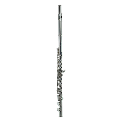 Pre-owned Hofinger Flute