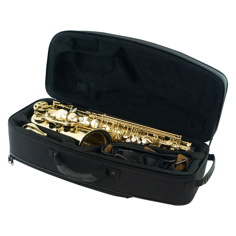 Pre-owned Selmer Seles Axos Eb Alto Saxophone