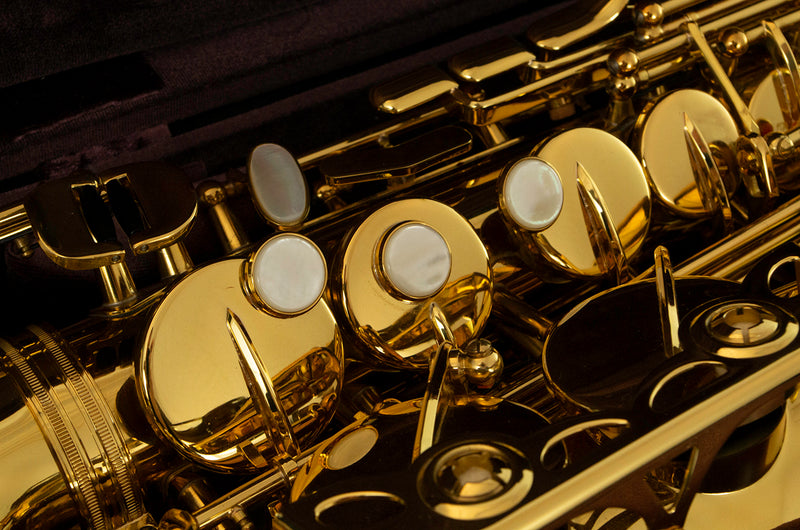Pre-owned Trevor James SR Eb Alto Saxophone