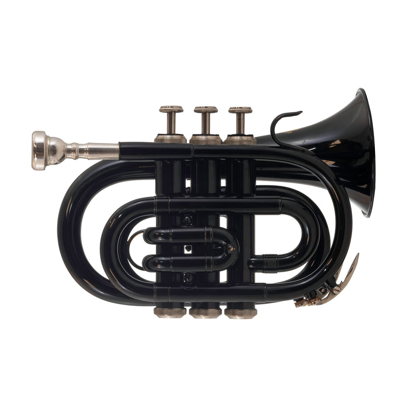 Pre-owned Aque Sulis Bb Pocket Trumpet