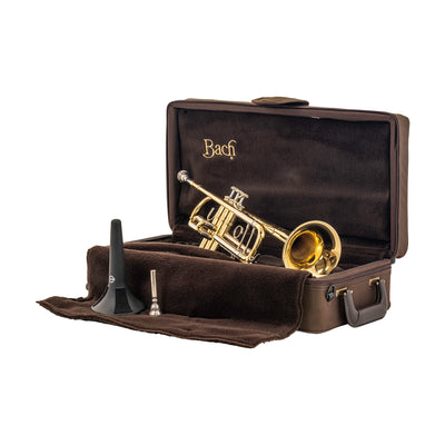 Pre-owned Bach Stradivarius 180ML37 Bb Trumpet