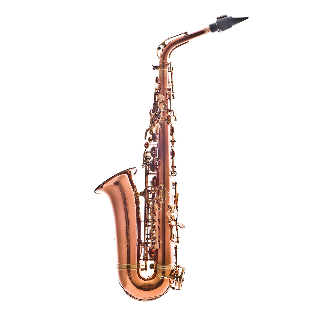 Leblanc LAS711 Eb Alto Saxophone – John Packer