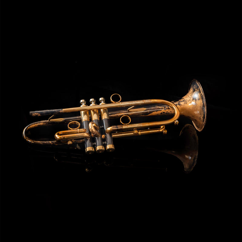 Taylor Nemesis Bb Trumpet