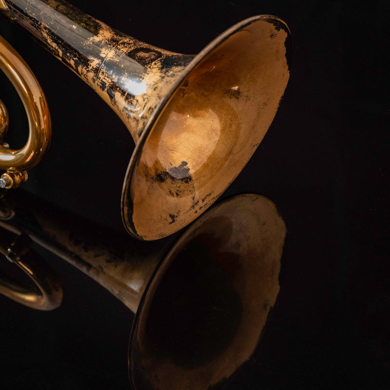 Taylor Nemesis Bb Trumpet