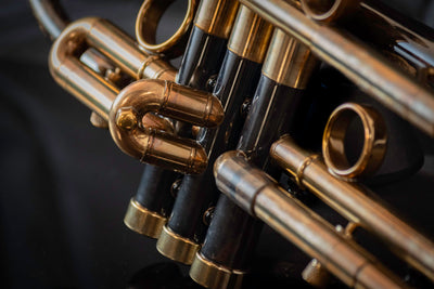 Taylor Nemesis Bb Trumpet