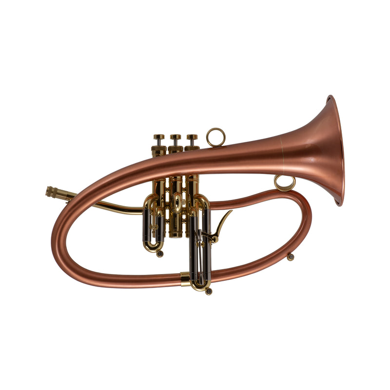 Taylor Phat Boy Bb Flugel Horn