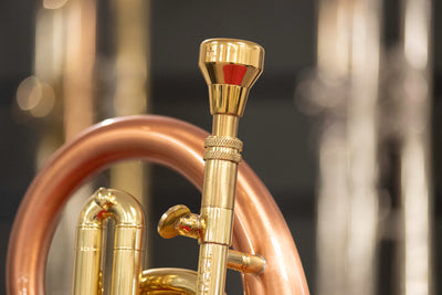 Taylor Phat Puppy Bb Flugel Horn