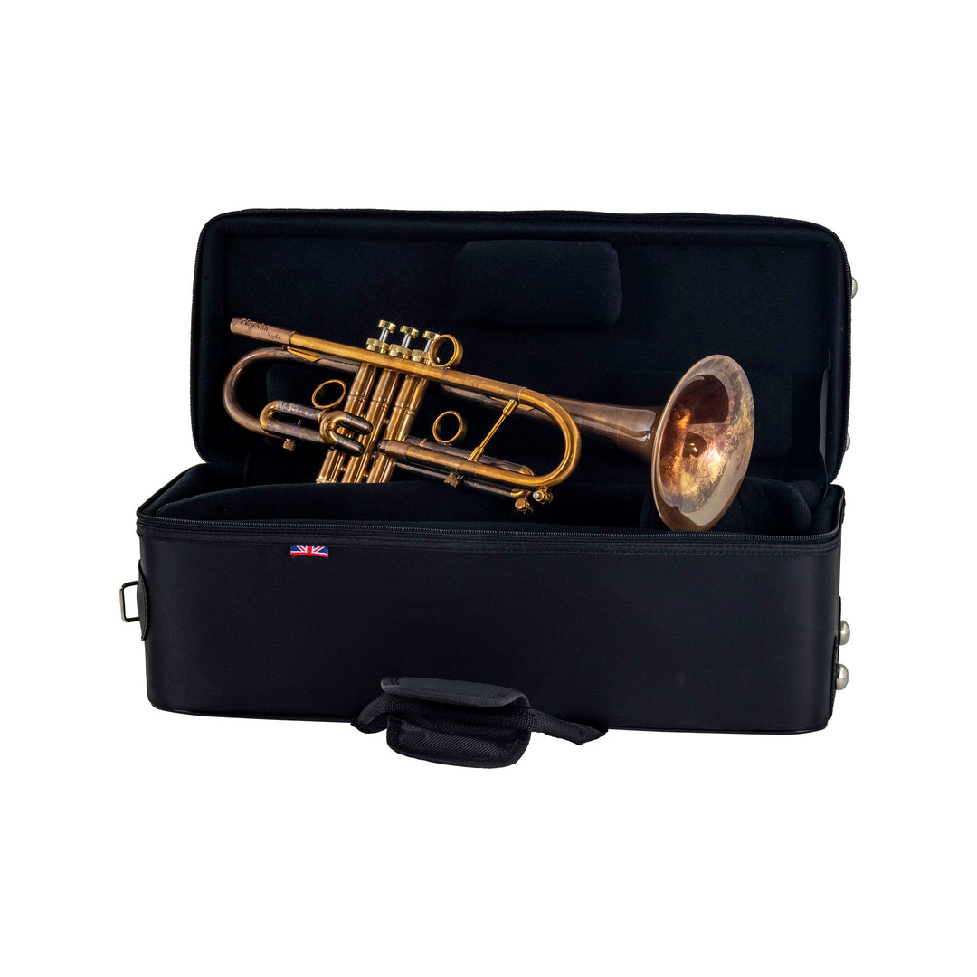 taylor-piranha-bb-trumpet-clear-lacquer-brushed-bell – John Packer