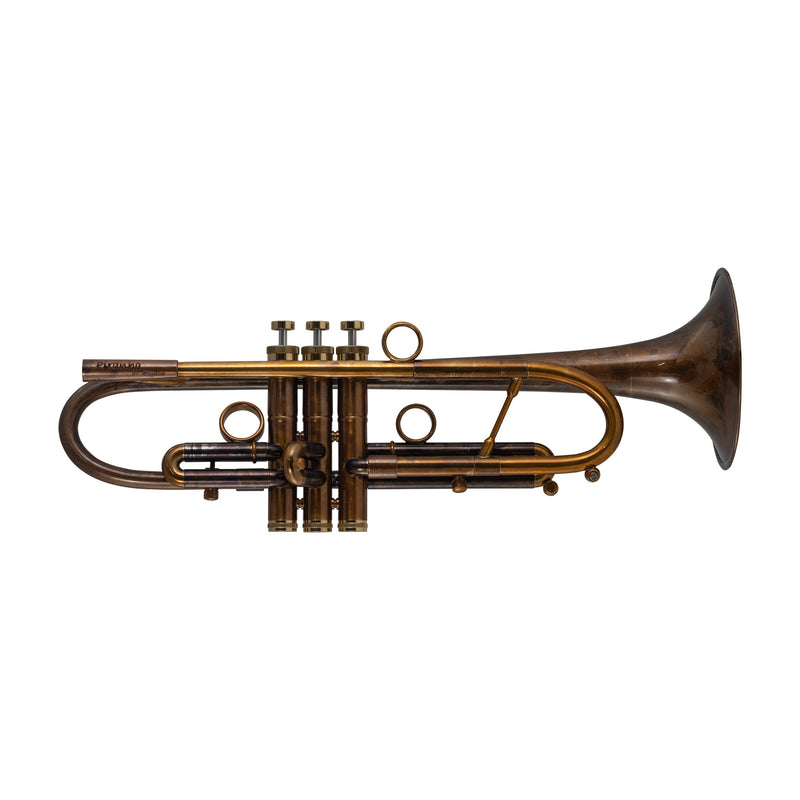 Taylor Piranha Bb Trumpet