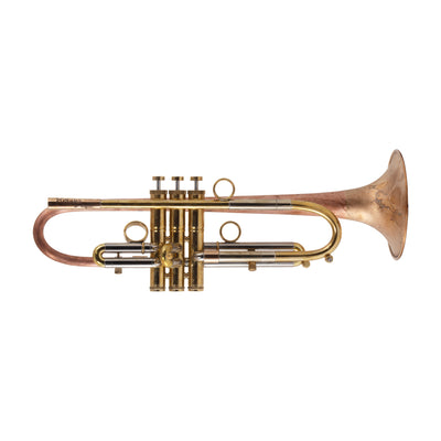 Taylor Piranha Bb Trumpet