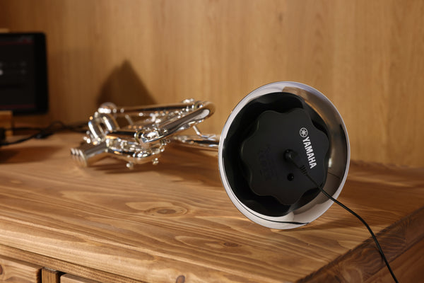 SB7J_z_0005_2560_grande.jpg?v=