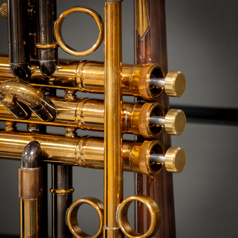 Taylor Bb Ballad Horn