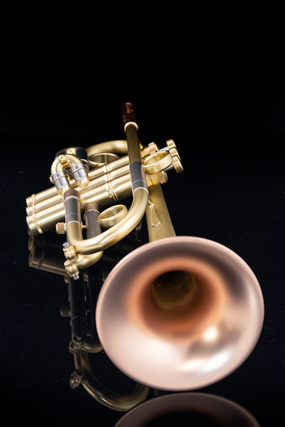Taylor Piranha C Trumpet
