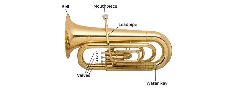 Parts of a Trumpet Explained