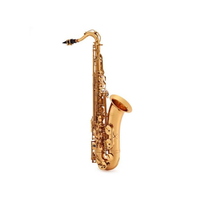 Elkhart 100TS Bb Tenor Saxophone