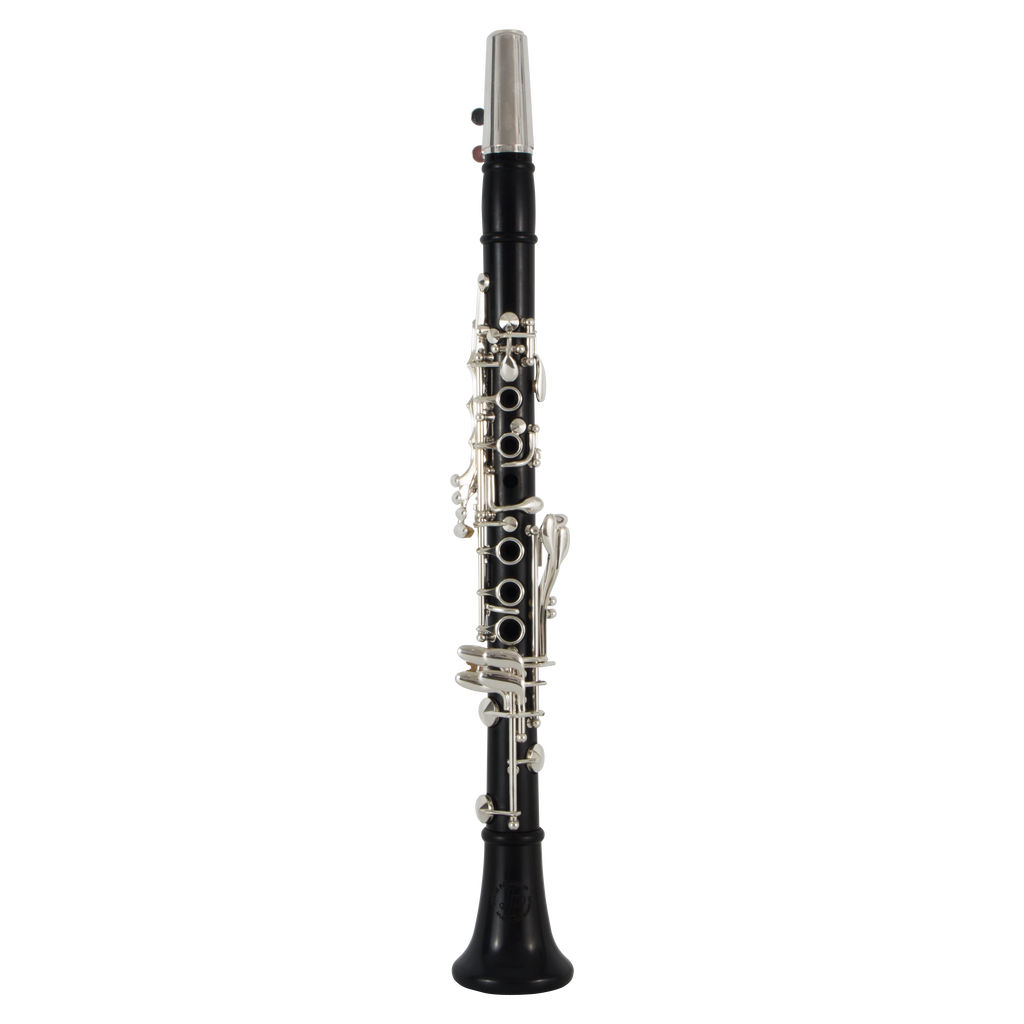 Expensive clarinet on sale