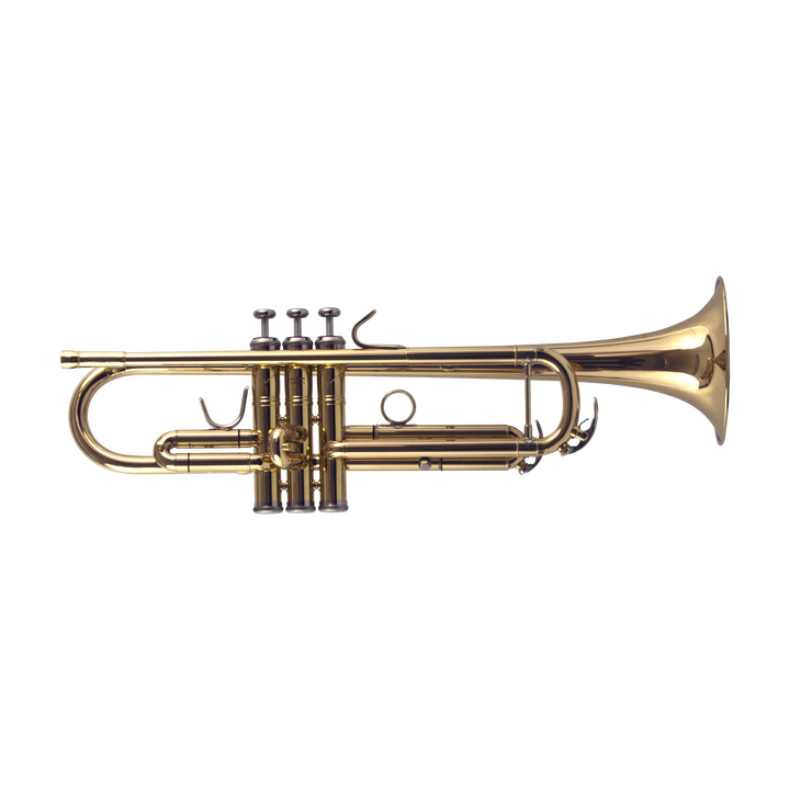 JP251SWLacquer102019_full2000_